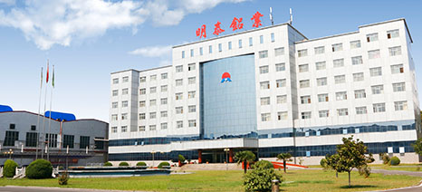 小蝌蚪视频污版铝业公司介绍